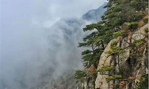 罗田县天堂寨景区_罗田天堂寨