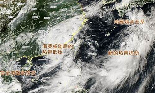 漯河预报天气15天查询结果_漯河天气预报15天预报