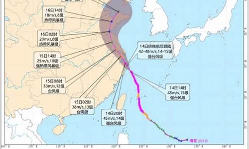 浙江台风路径实时发布系统_浙江台风路径实时路径