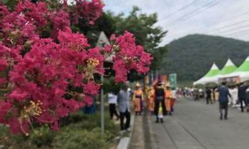 开原天气预报30天查询结果_开原天气预报30天