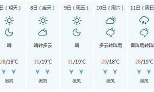 泰安未来最新天气15天预报_泰安未来7天天气预报查询