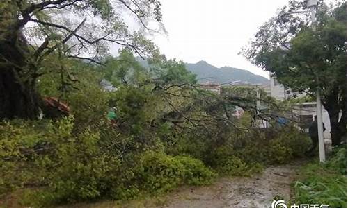 广西荔浦天气预报_广西荔浦天气预报15天