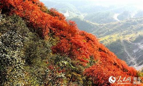 郧县天气预报7天_十堰郧县天气预报7天