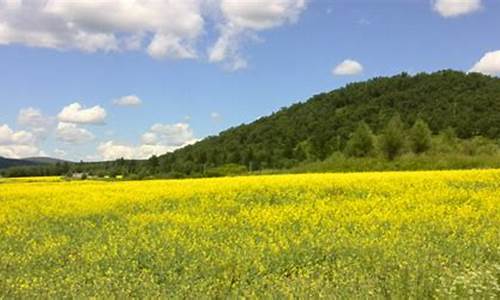 阿荣旗天气预报15天查询当地_内蒙古自治区阿荣旗天气预报