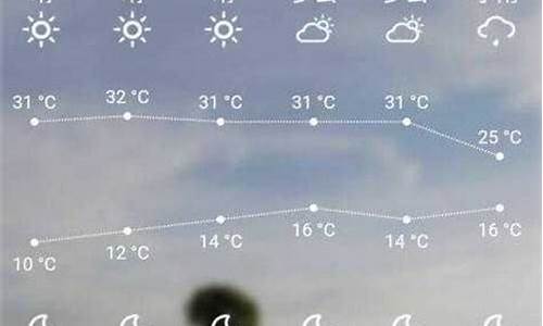 叶城天气预报一周7天查询_叶城天气预报30天查询结果