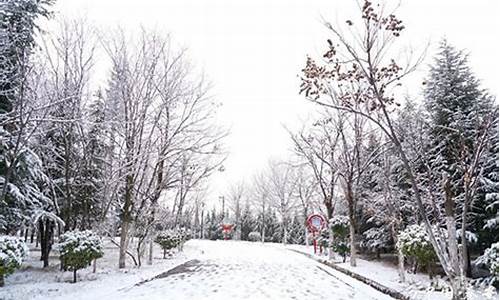 秦安天气预报一周 7天_秦安天气